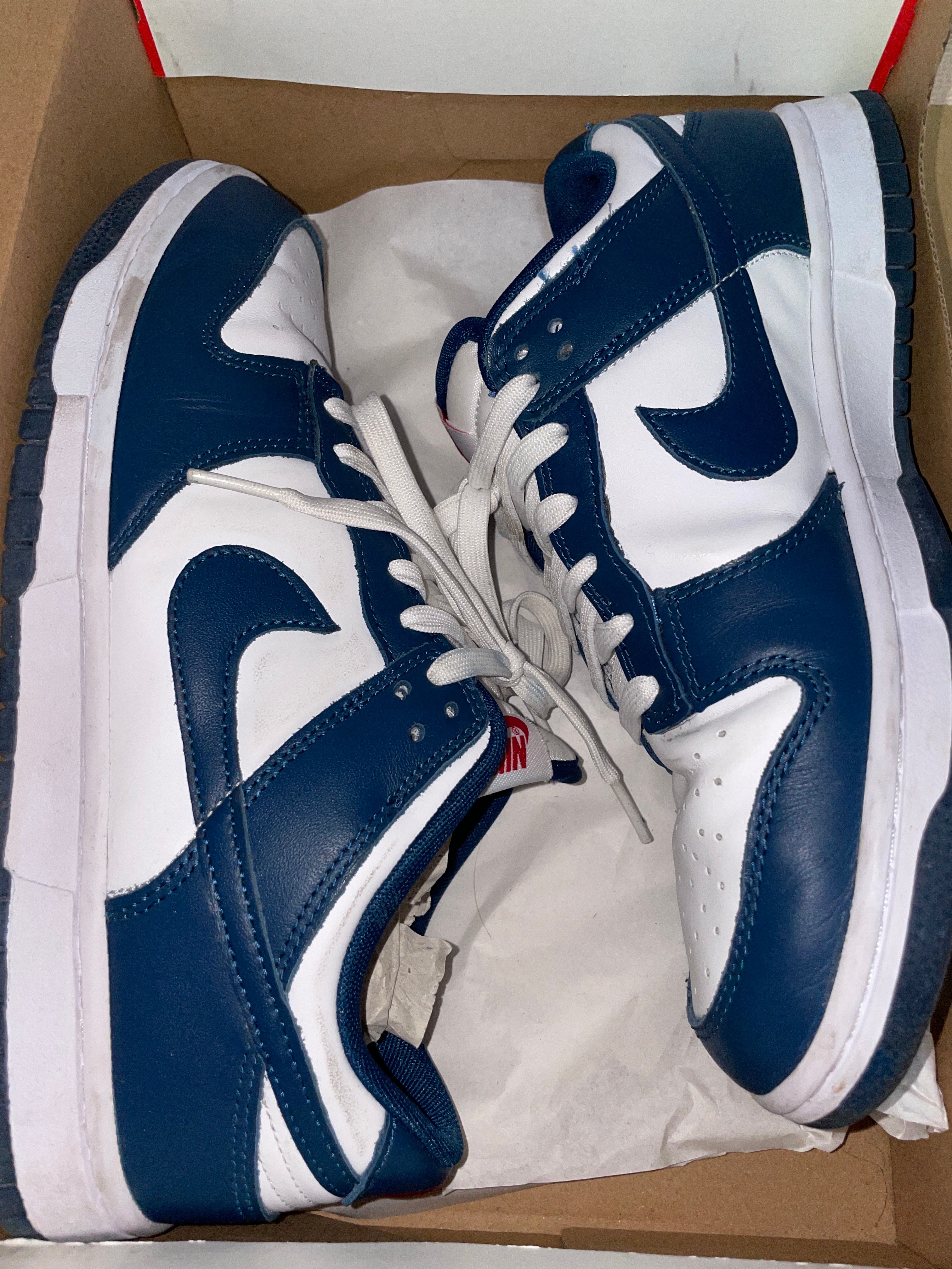 Nike Dunk Low "Valerian Blue"