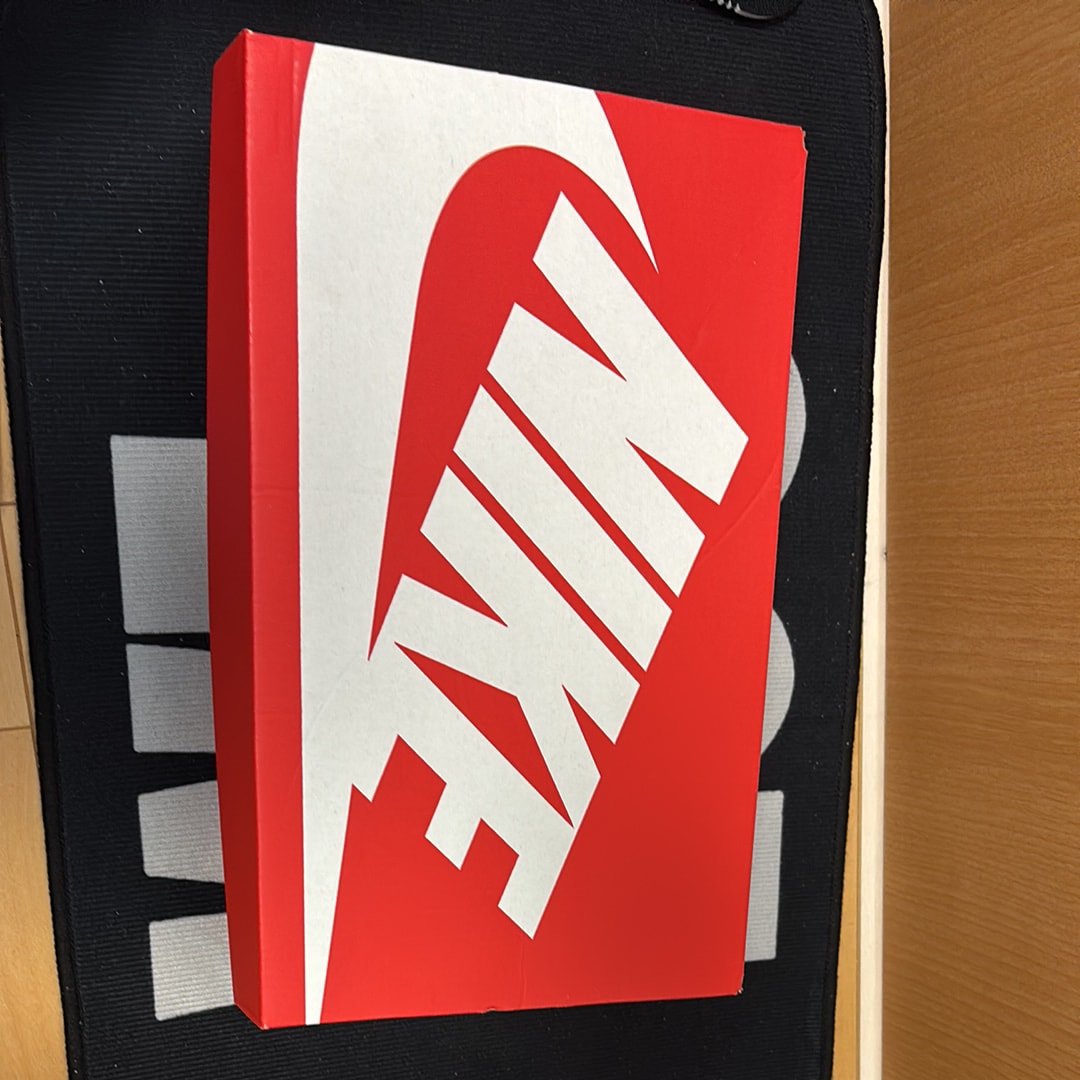 Nike Dunk Low Retro "Black Panda 2.0"