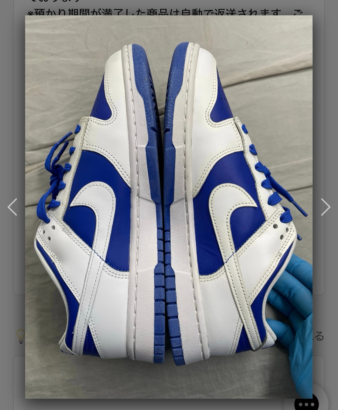 Nike Dunk Low Retro "Racer Blue and White"