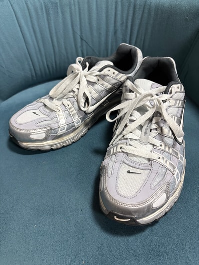 Nike P-6000 "Metallic Silver/Wolf Grey/Anthracite/Summit White"