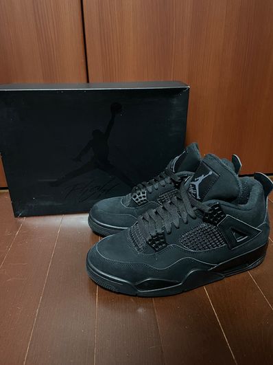 Nike Air Jordan 4 "Black Cat"
