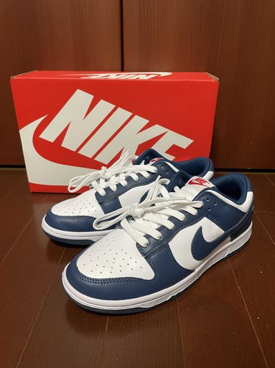 Nike Dunk Low "Valerian Blue"