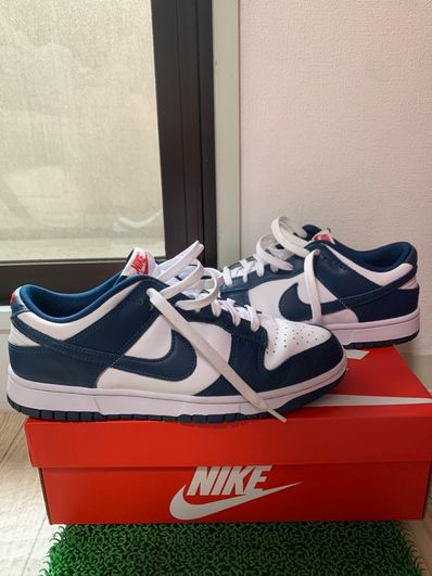 Nike Dunk Low "Valerian Blue"