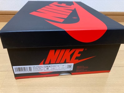 Nike Air Jordan 1 High OG "Bleached Coral"