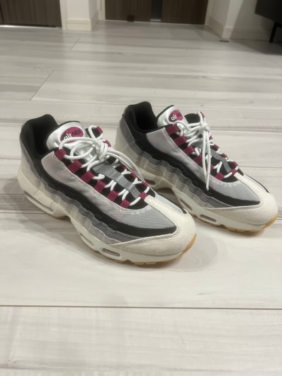 Nike SB Air Max 95 "Summit White/Cactus Flower"