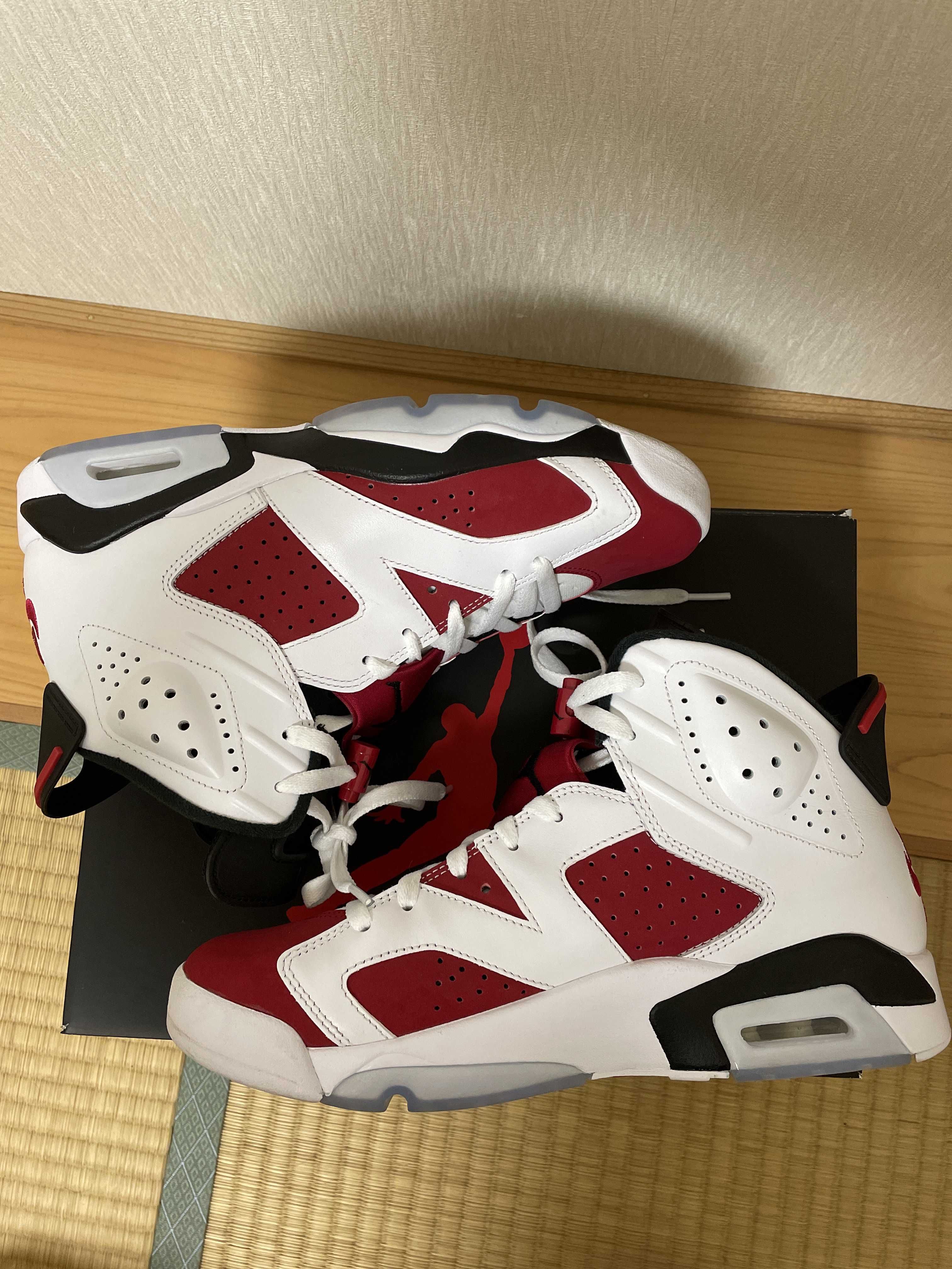 Nike Air Jordan 6 "Carmine" (2021)