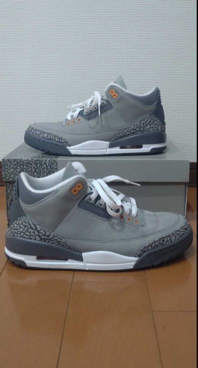 Nike Air Jordan 3 "Cool Grey"