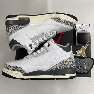 Nike GS Air Jordan 3 "Animal Icon/Safari"