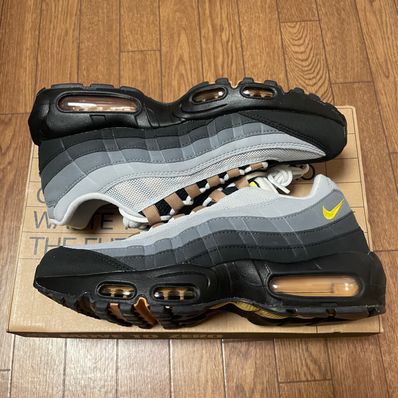 Nike Air Max 95 "Icons"