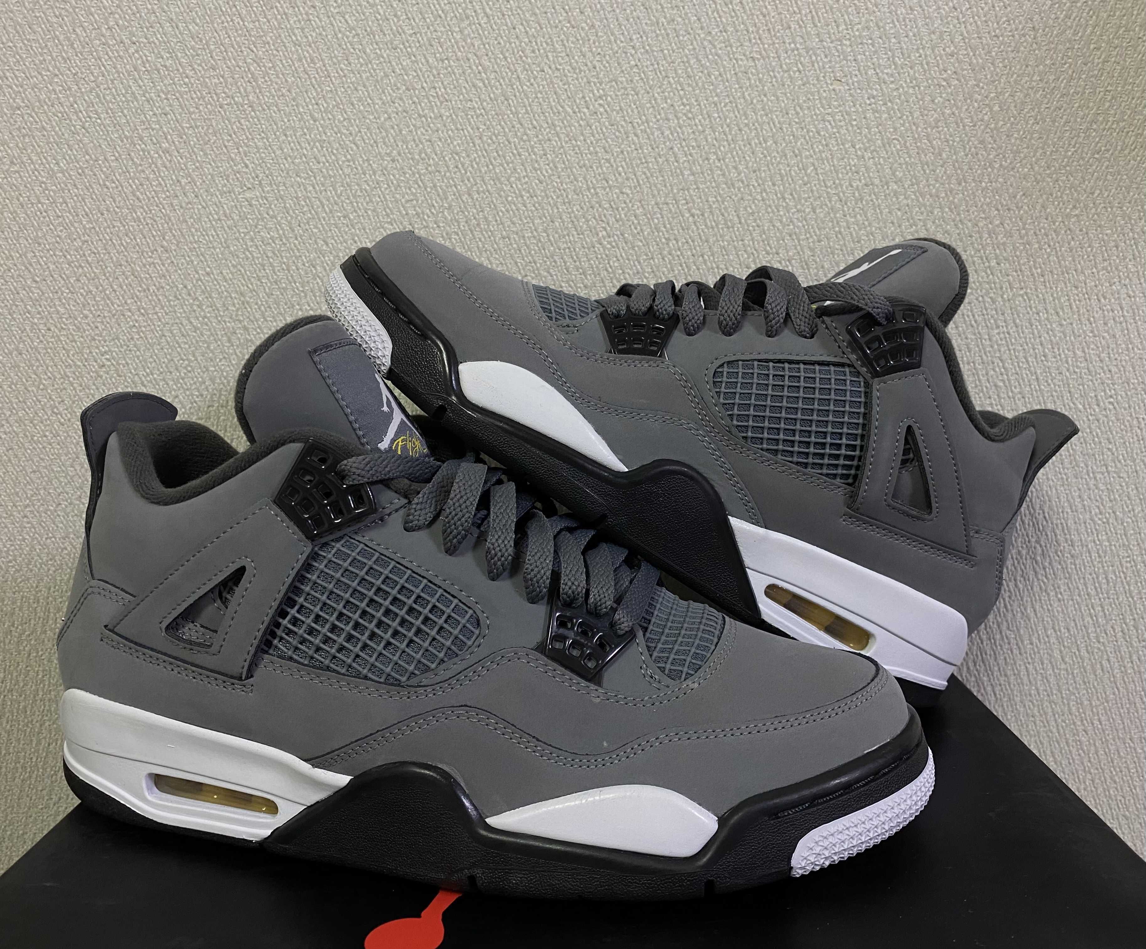 Nike Air Jordan 4 "Cool Grey"