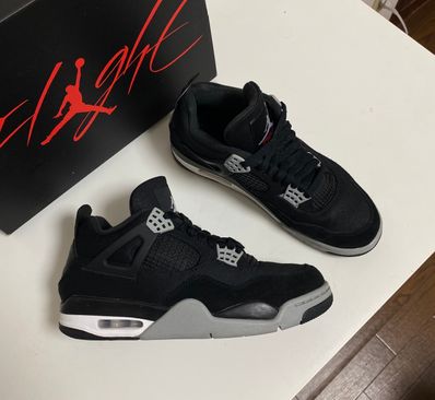 Nike Air Jordan 4 SE "Black and Light Steel"