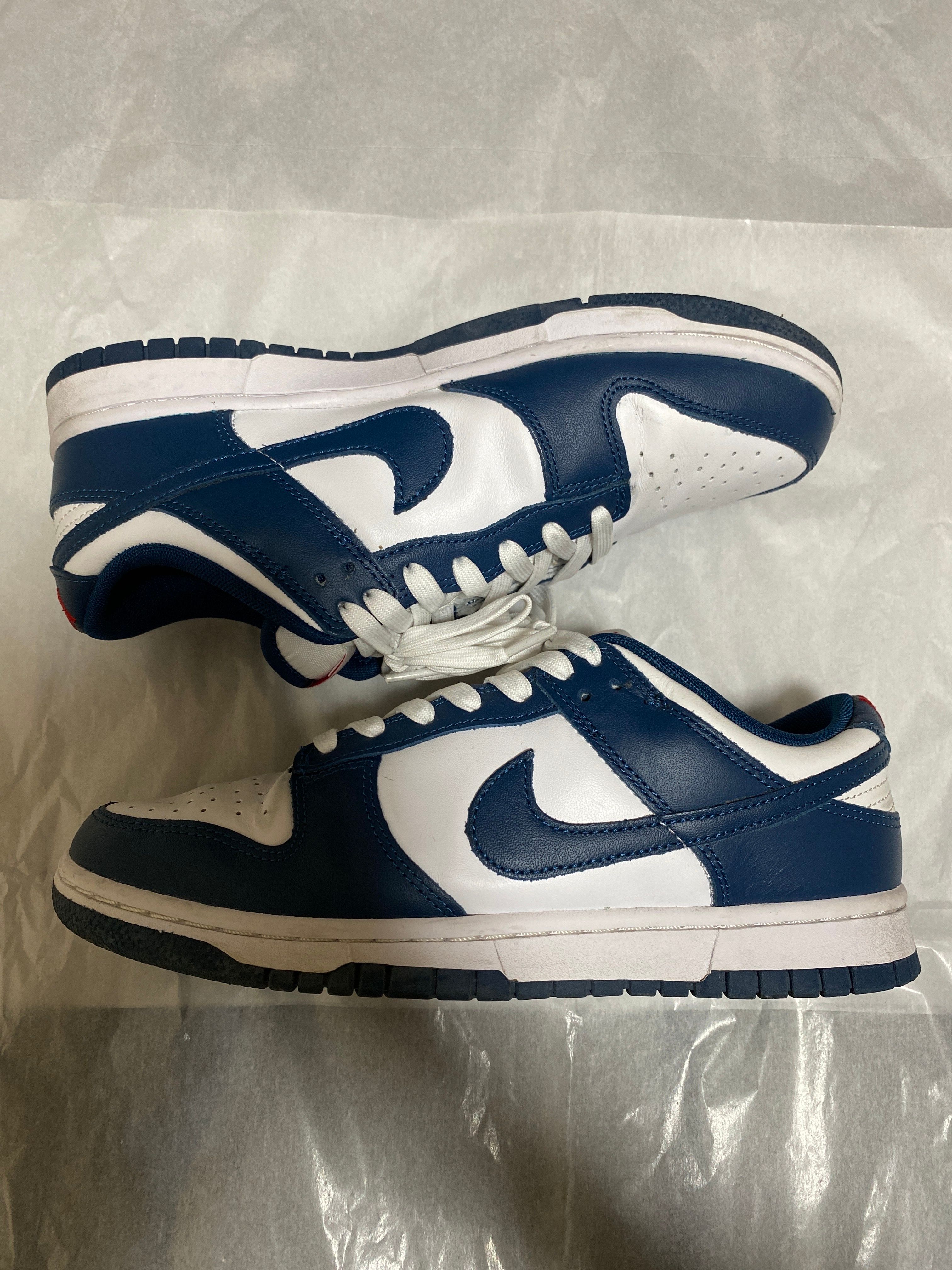 Nike Dunk Low "Valerian Blue"