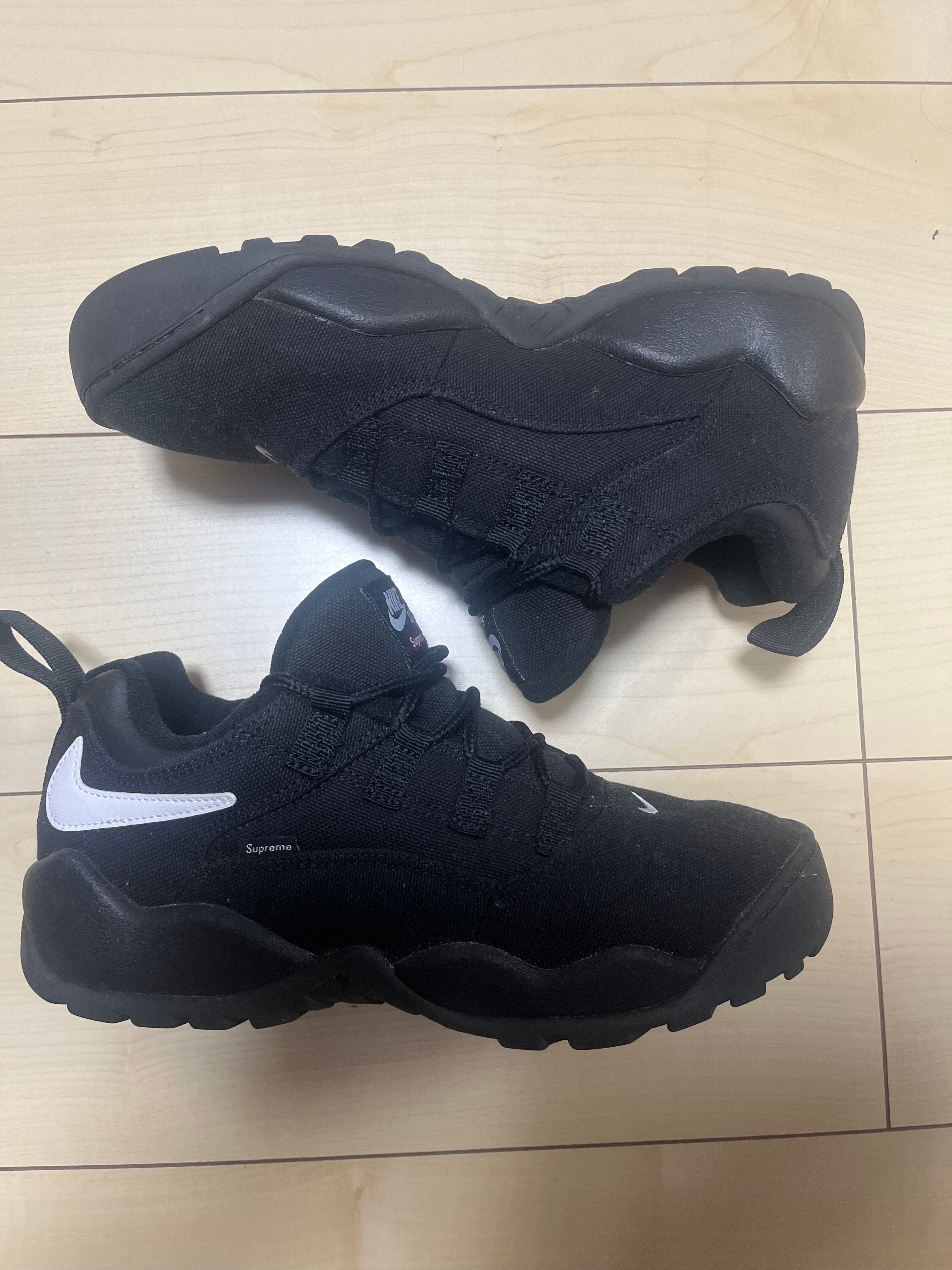 Supreme × Nike SB Darwin Low "Black"