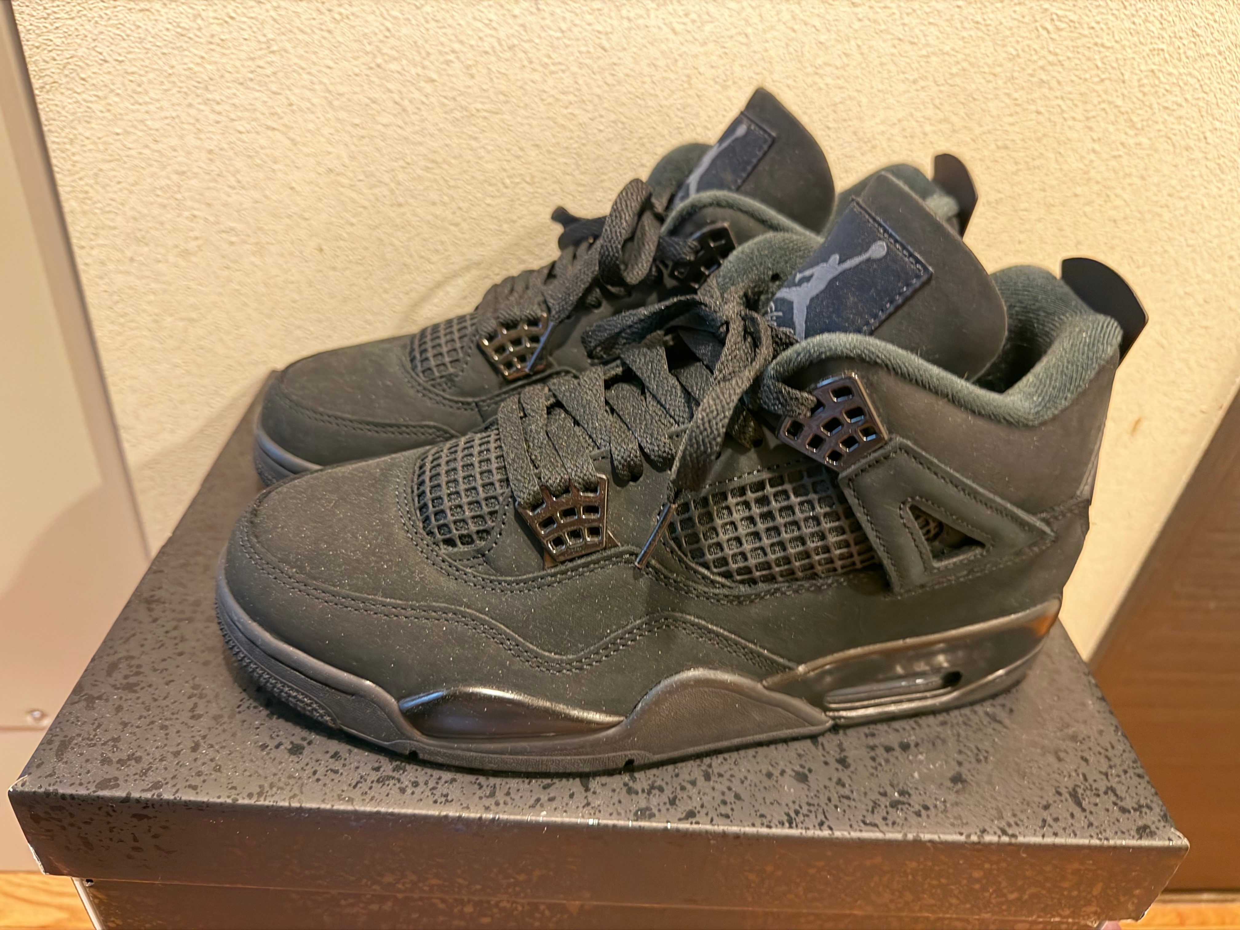 Nike Air Jordan 4 Retro OG "Black Cat" (2025)