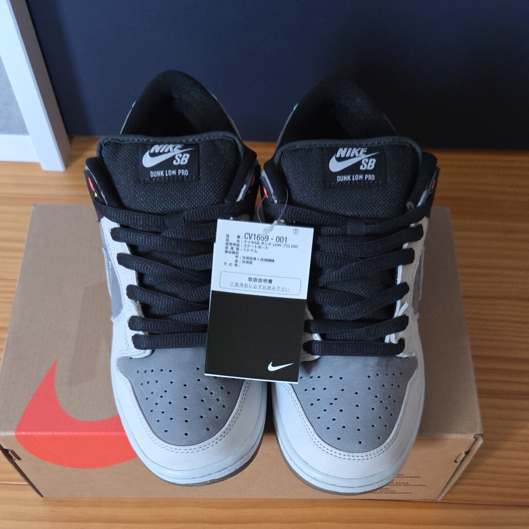 Nike SB Dunk Low Pro "VX1000 Camcorder"