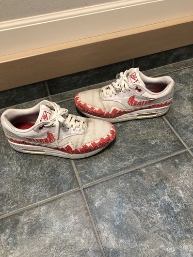 Nike Air Max 1 "Tinker Hatfield Sketch"