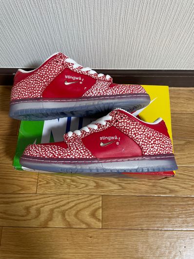 Stingwater × Nike SB Dunk Low "Magic Mushroom"