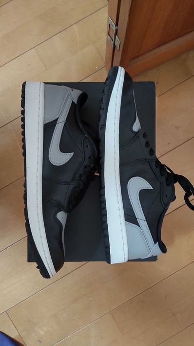 Nike Air Jordan 1 Low Golf "Shadow"