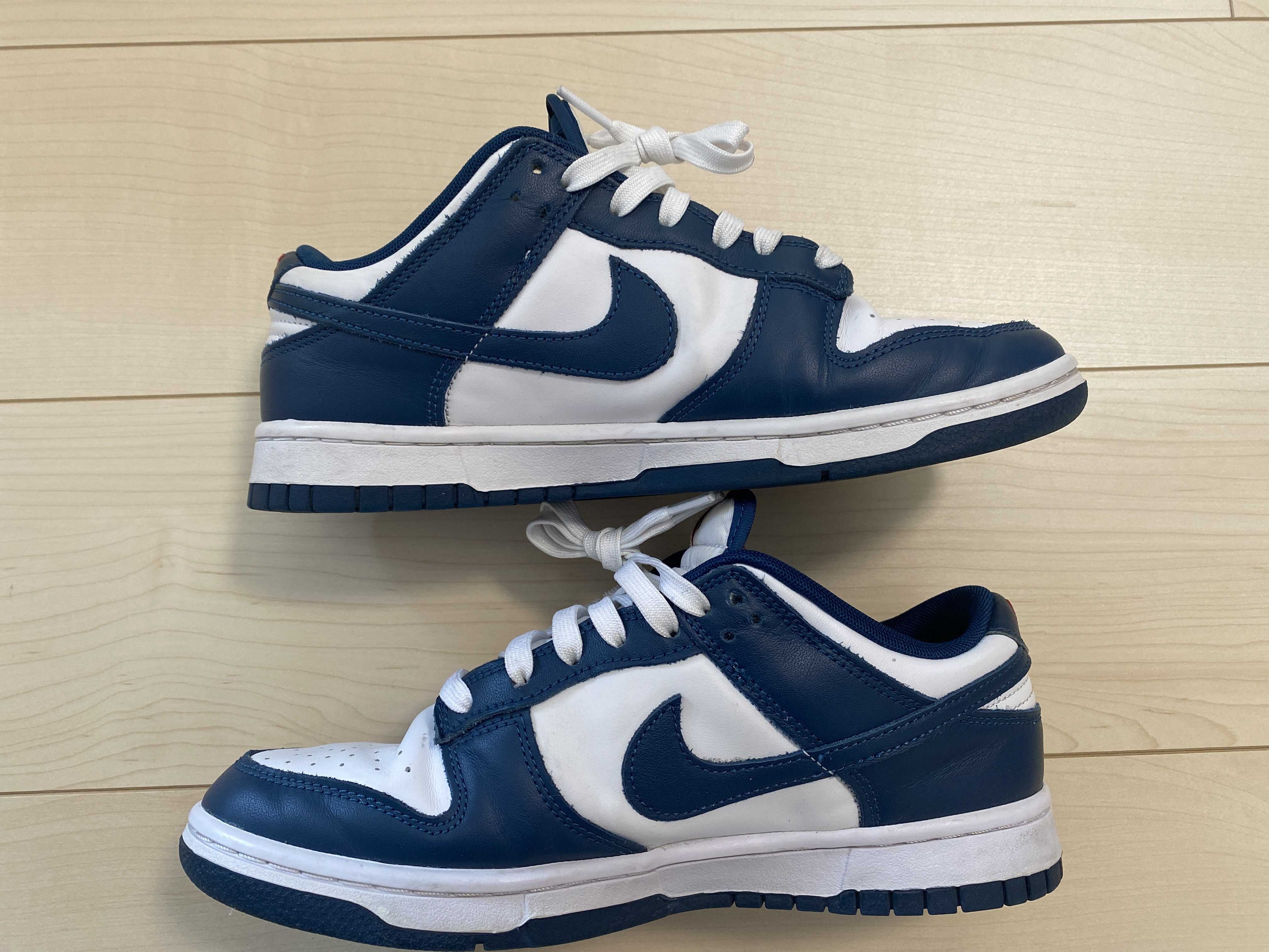 Nike Dunk Low "Valerian Blue"