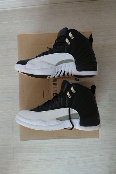 Nike Air Jordan 12