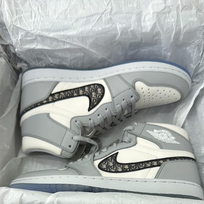 Dior × Nike Air Jordan 1 High OG "Wolf Grey"