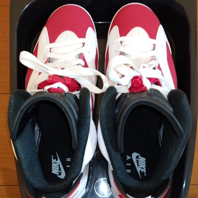 Nike Air Jordan 6 "Carmine" (2021)