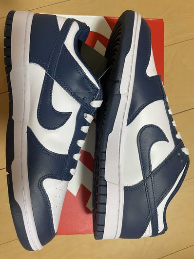 Nike Dunk Low "Valerian Blue"