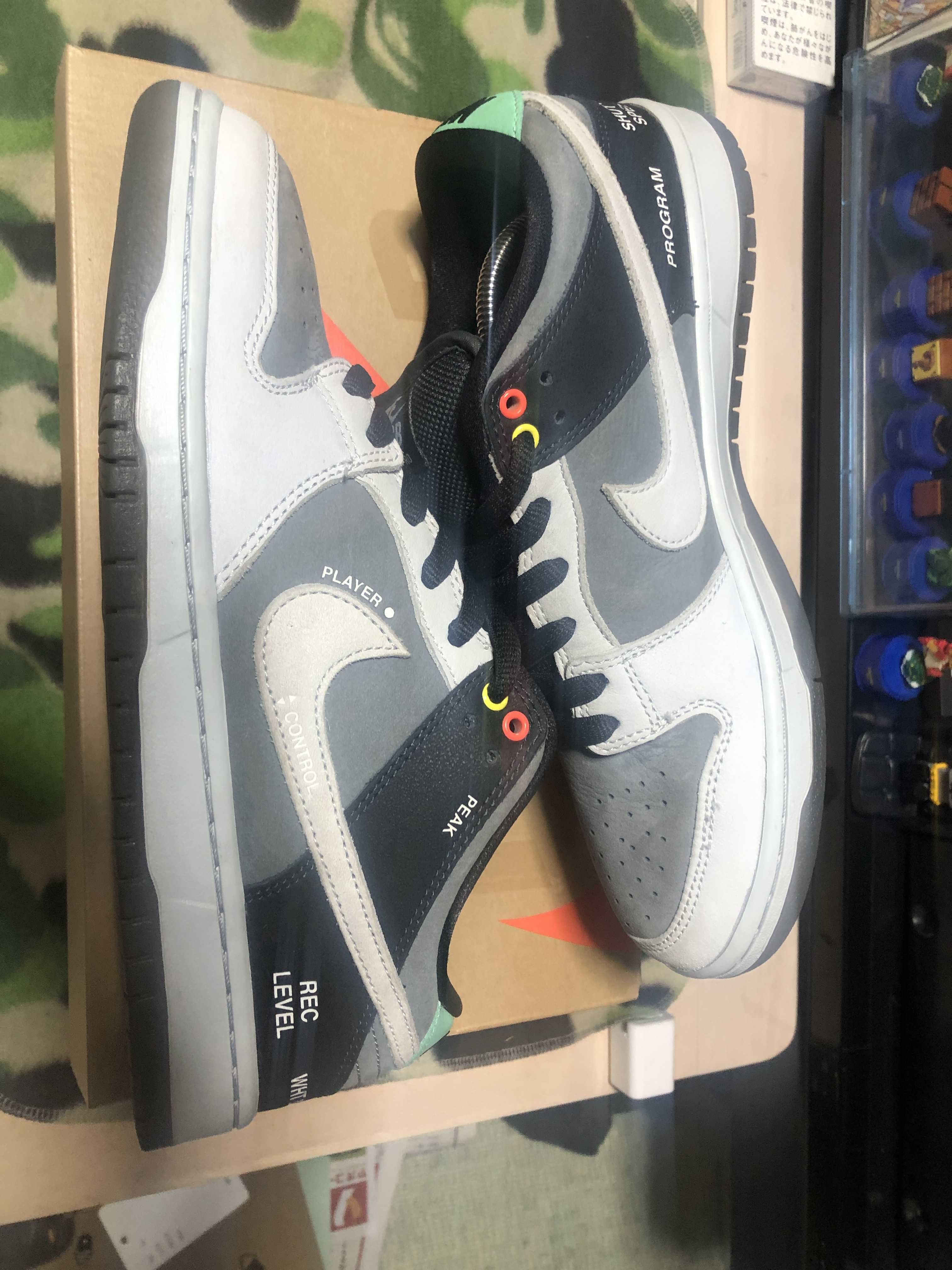 Nike SB Dunk Low Pro "VX1000 Camcorder"