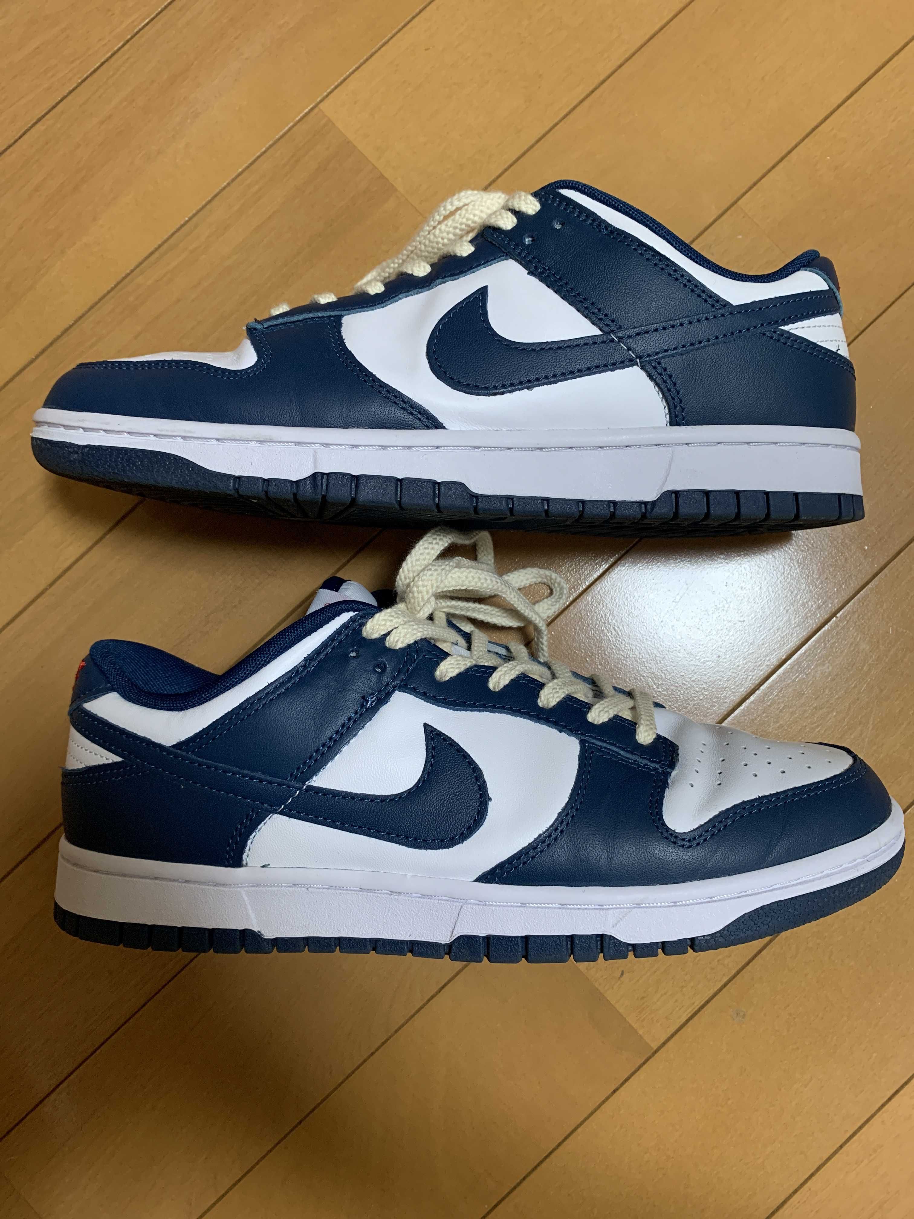 Nike Dunk Low "Valerian Blue"