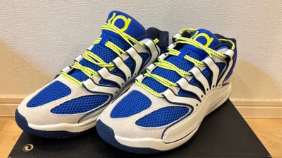 Nike KD18 "Seat Pleasant" (HV1992-400/HV1991-400)