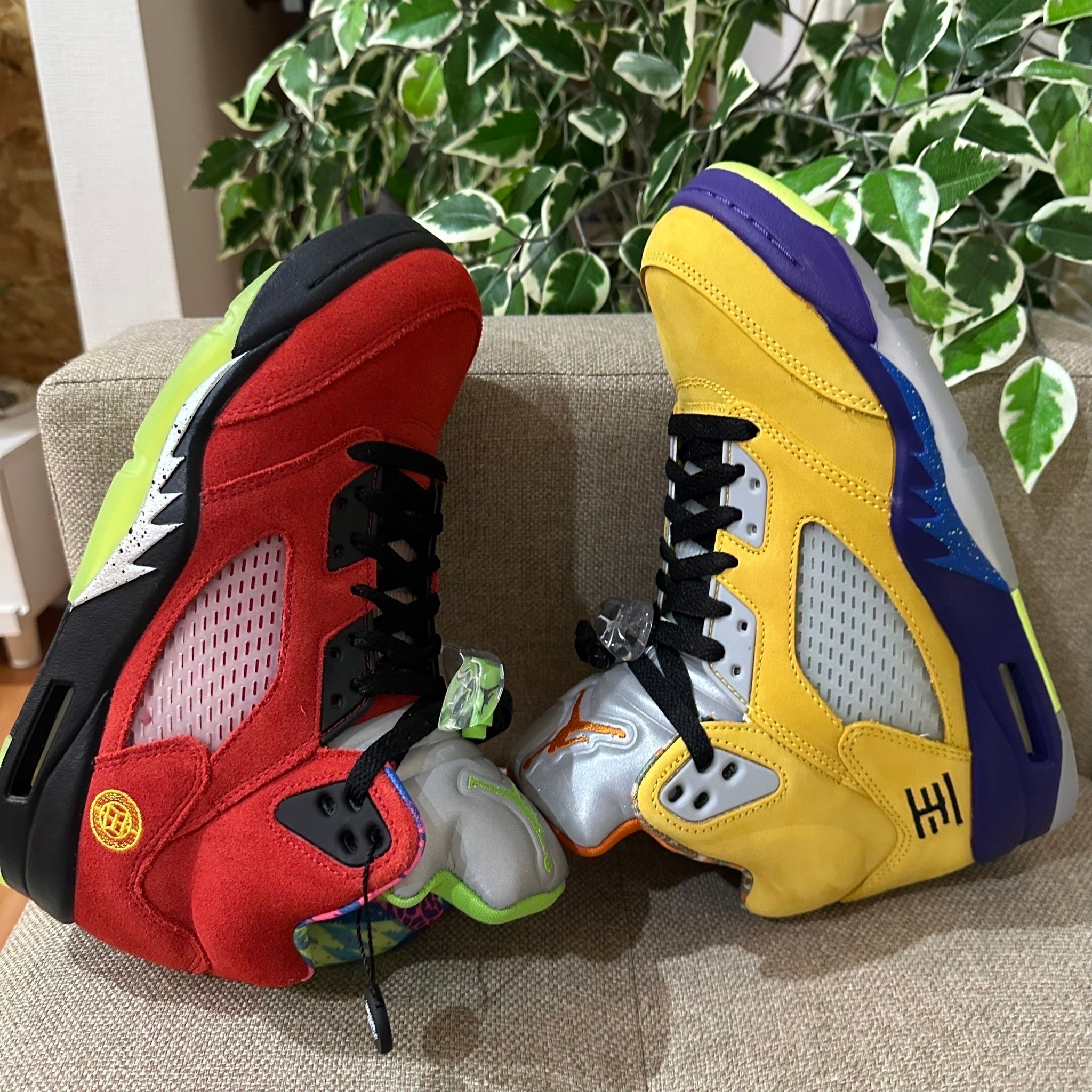 Nike Air Jordan 5 "What The"