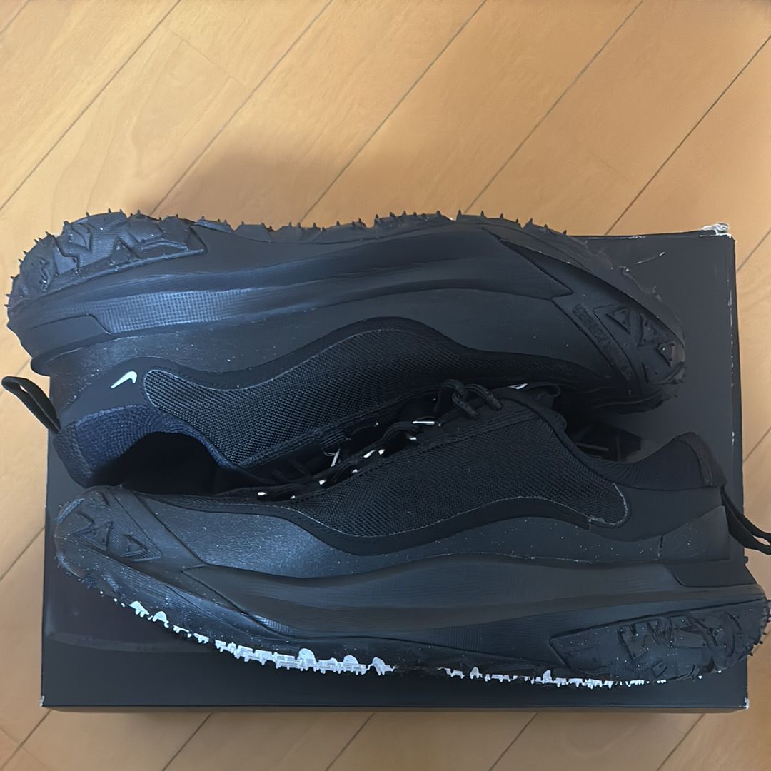 COMME des GARCONS HOMME PLUS × Nike ACG Mountain Fly 2 Low "Black"