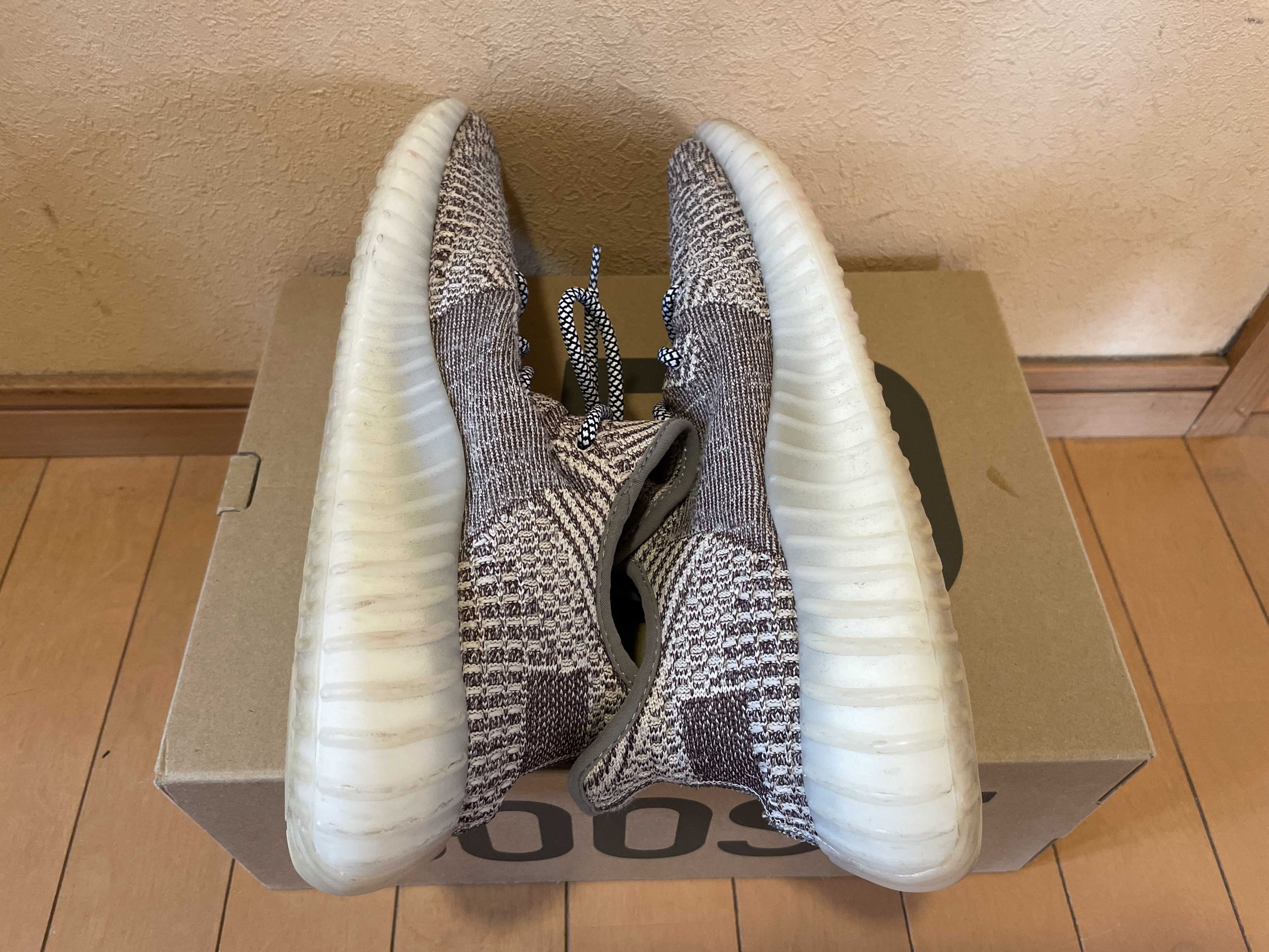 adidas YEEZY Boost 350 V2 "Zyon"