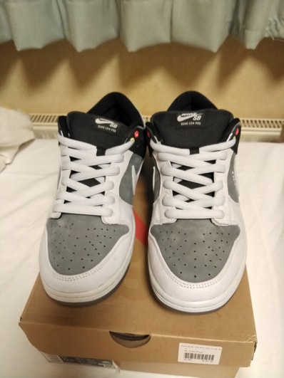 Nike SB Dunk Low Pro "VX1000 Camcorder"