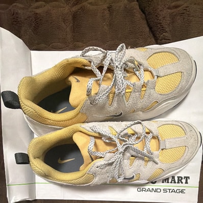 Nike Tech Hera "Saturn Gold/Light Bone/Phantom/Iron Grey"