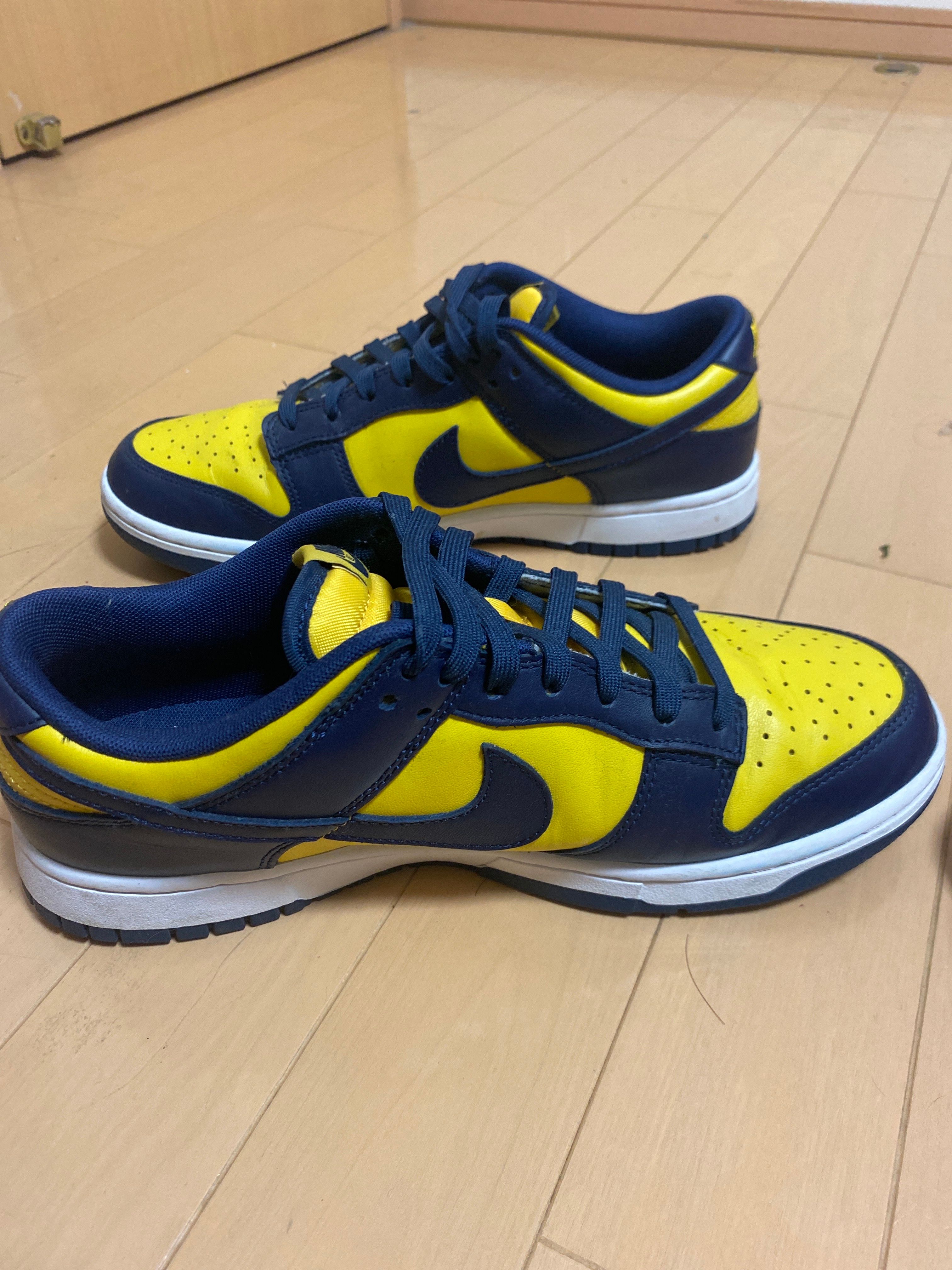 Nike Dunk Low "Michigan"