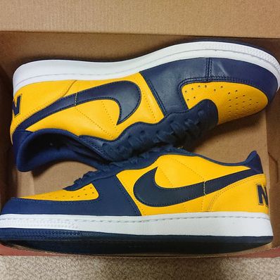 Nike Terminator Low "University Gold and Navy/Michigan"