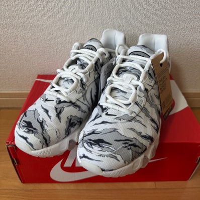 Nike Air Max DN8 PRM "Summit White/Cool Grey/Light Smoke Grey/Dark Smoke Grey"