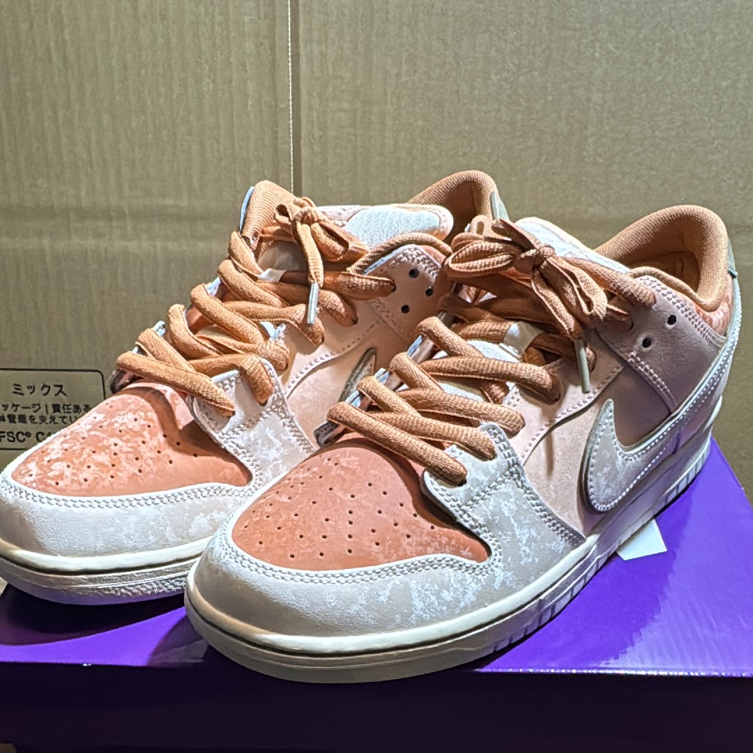 Nike SB Dunk Low Pro PRM "Crimson Tint and Amber Brown/Trocadero Gardens"