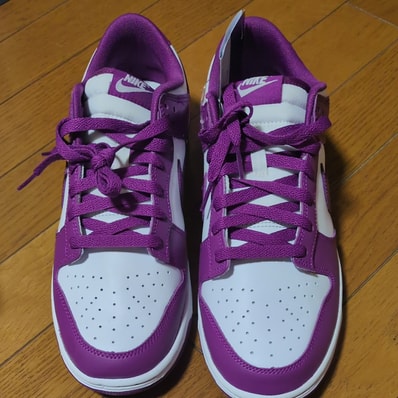 Nike Dunk Low Retro "Viotech/White"