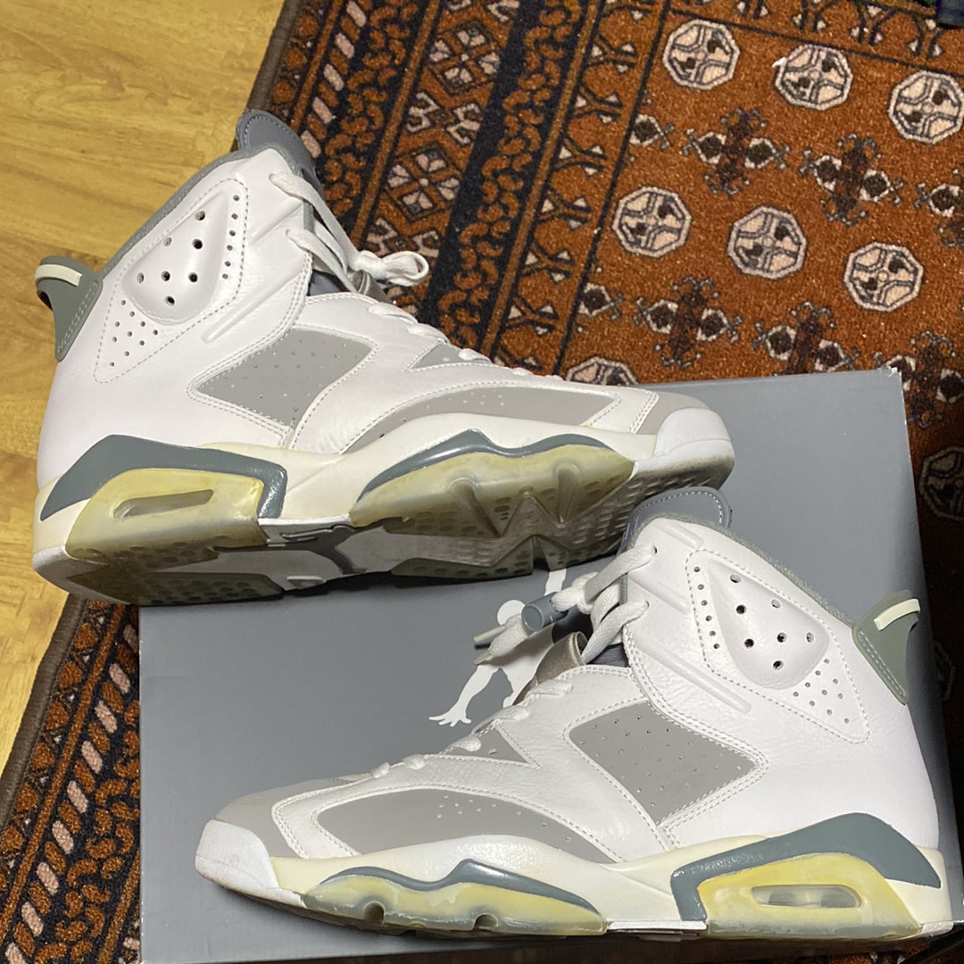 Nike Air Jordan 6 "Cool Grey"