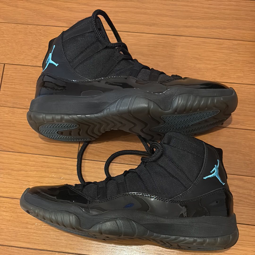 Nike Air Jordan 11 "Gamma" (2013)