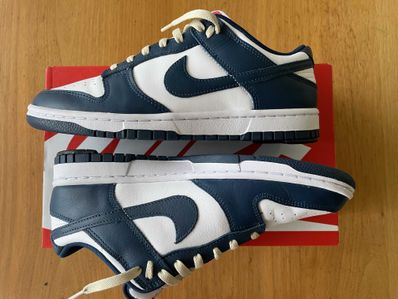 Nike Dunk Low "Valerian Blue"