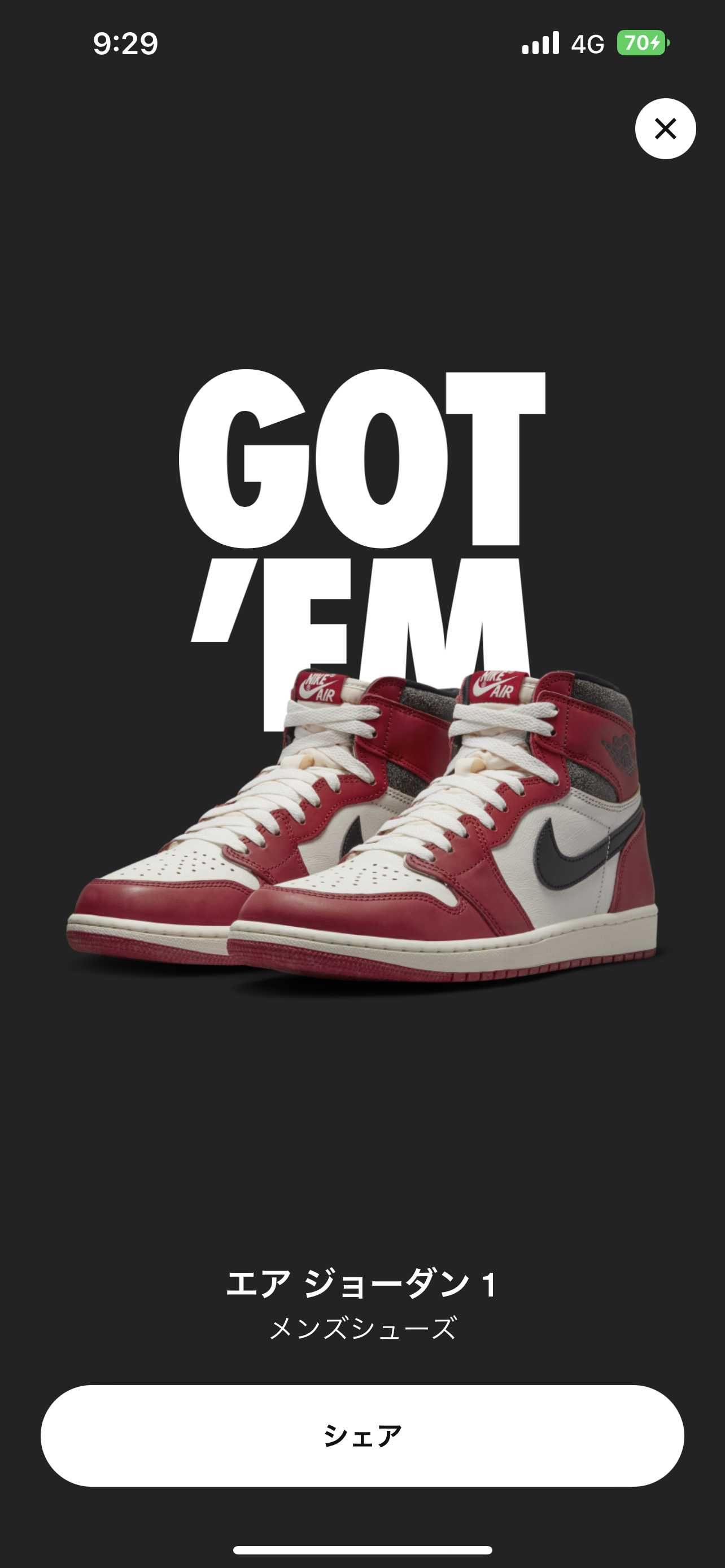 Nike Air Jordan 1 High OG "Lost & Found/Chicago"