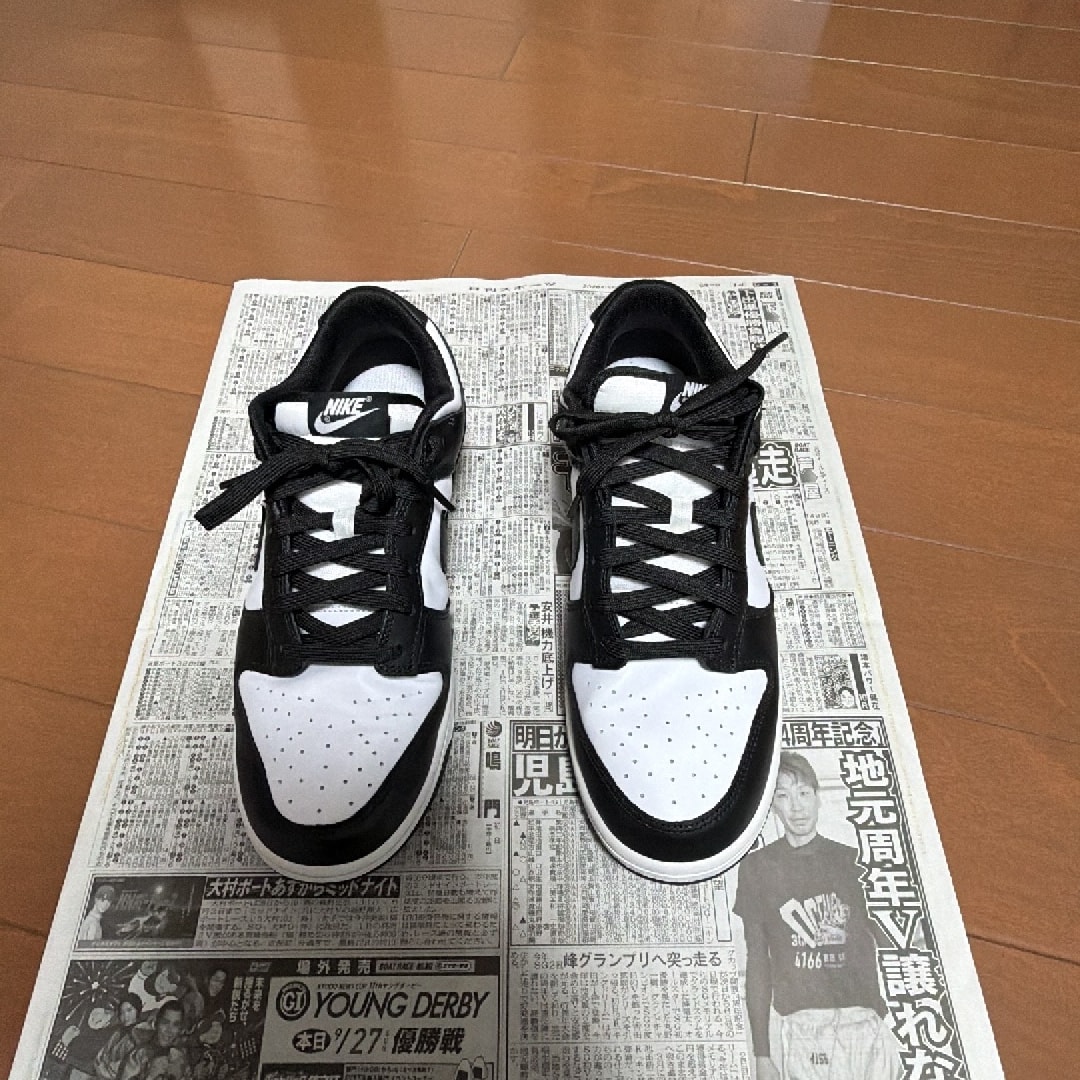 Nike Dunk Low Retro "Panda"