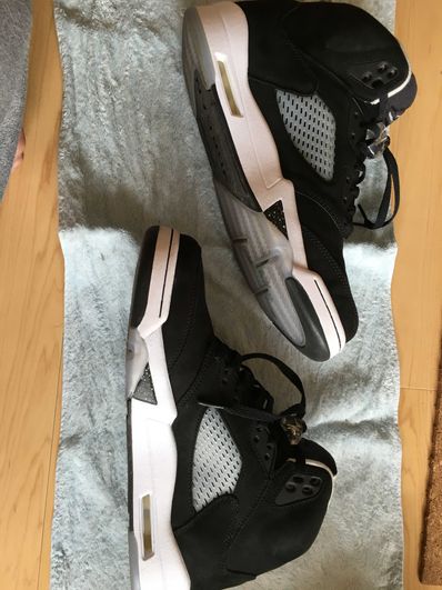 Nike Air Jordan 5 "Moonlight" (2021)