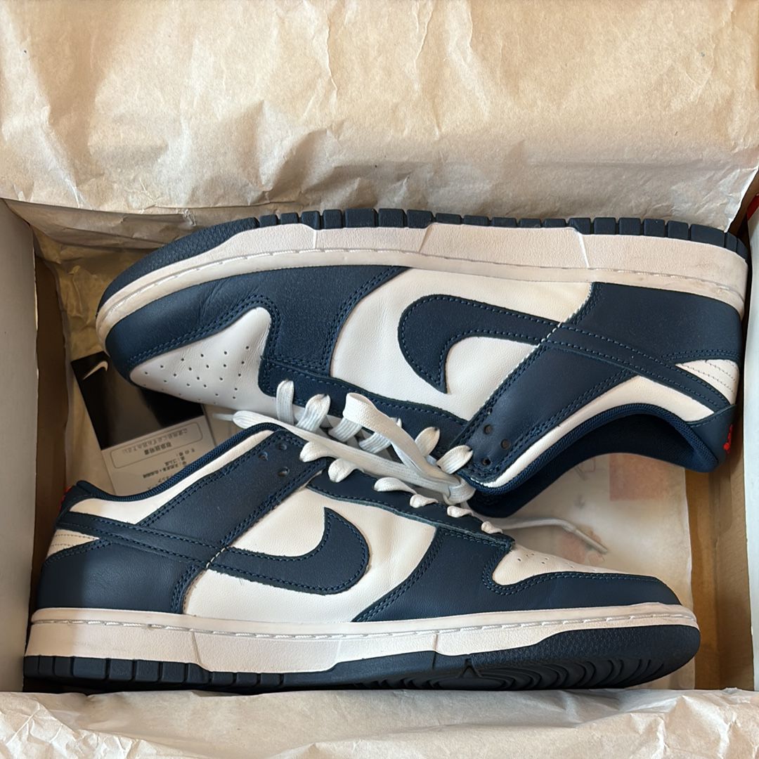 Nike Dunk Low "Valerian Blue"