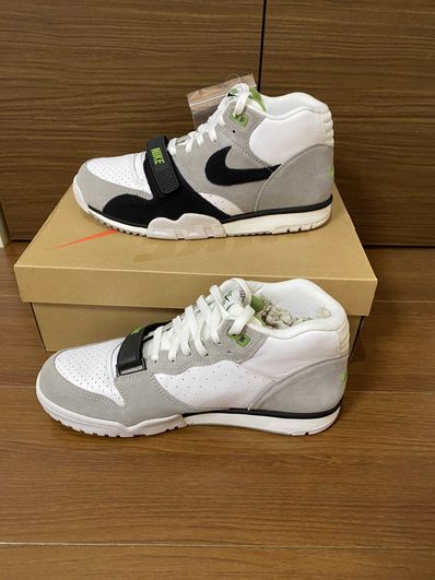 Nike SB Air Trainer 1 "Chlorophyll"
