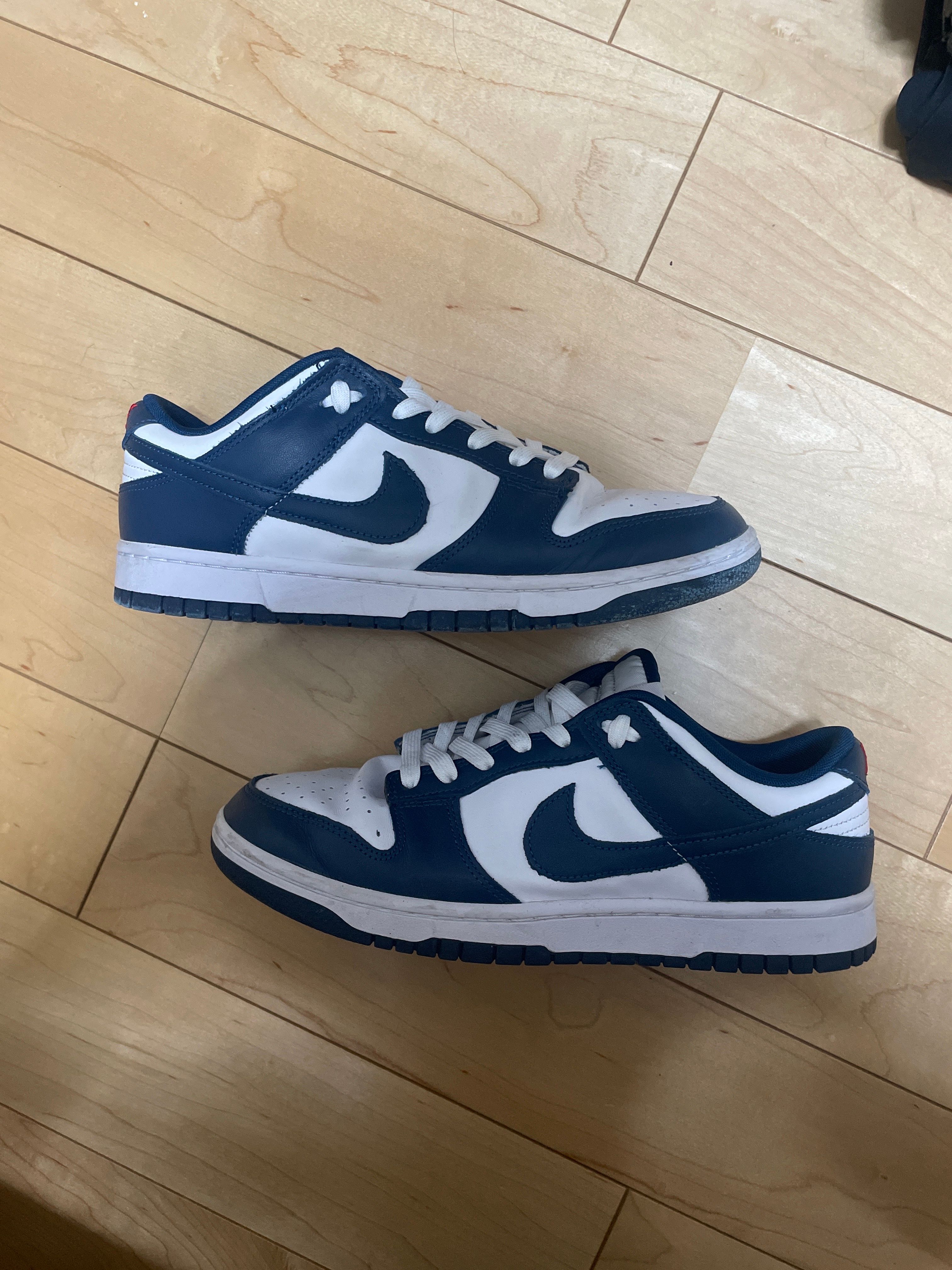 Nike Dunk Low "Valerian Blue"