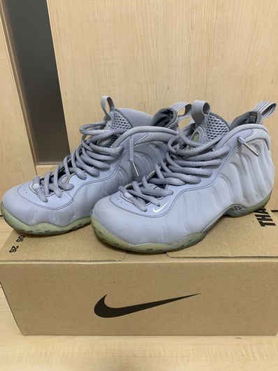 Wolf 2025 gray foamposite